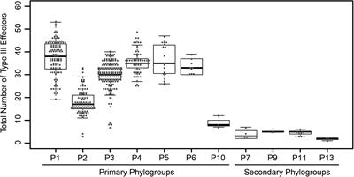 Molecular Evolution of Pseudomonas syringae Type III Secreted Effector Proteins